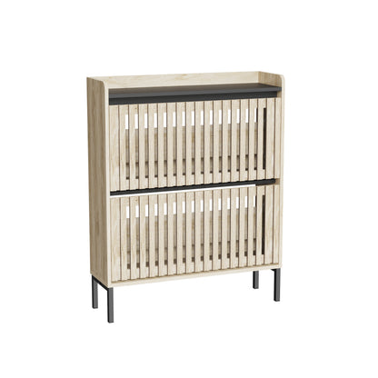 2-Tier Shoe Cabinet, Multi-layer Shoe Rack, Modern Minimalist Storage Cabinet for Entryway