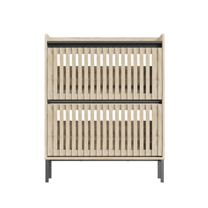 2-Tier Shoe Cabinet, Multi-layer Shoe Rack, Modern Minimalist Storage Cabinet for Entryway