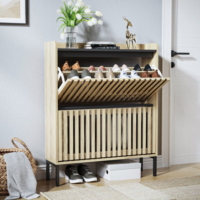 2-Tier Shoe Cabinet, Multi-layer Shoe Rack, Modern Minimalist Storage Cabinet for Entryway
